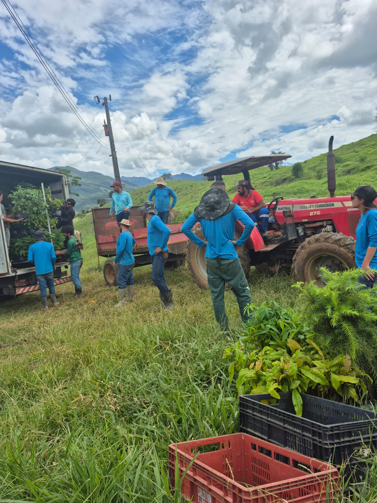 Plantio na Mantiqueira