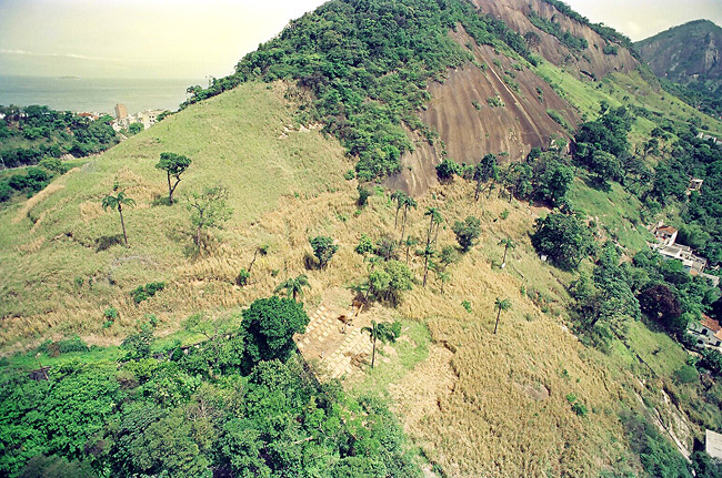 Morro São João antes do reflorestamento - com capim colonião